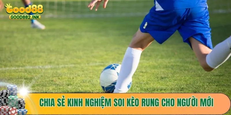 Kinh Nghiệm Soi Kèo Rung Đỉnh Cao Giúp Bạn Chiến Thắng 3 Chia sẻ kinh nghiệm soi kèo rung cho người mới