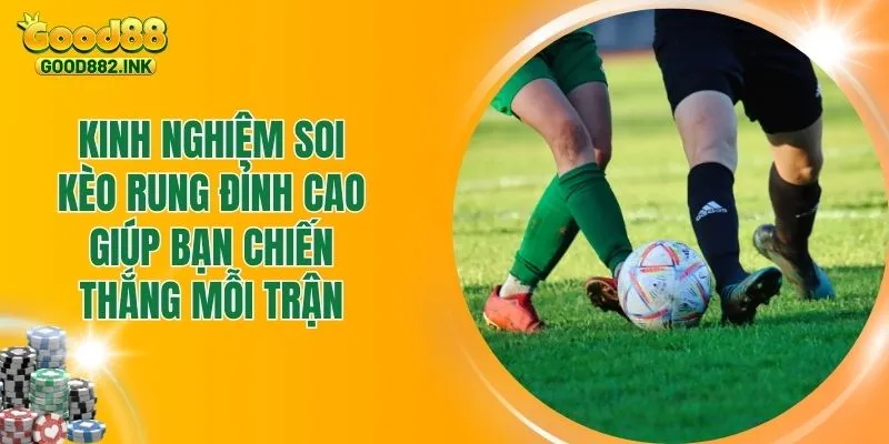 Kinh Nghiệm Soi Kèo Rung Đỉnh Cao Giúp Bạn Chiến Thắng 1 Kinh Nghiệm Soi Kèo Rung Đỉnh Cao Giúp Bạn Chiến Thắng